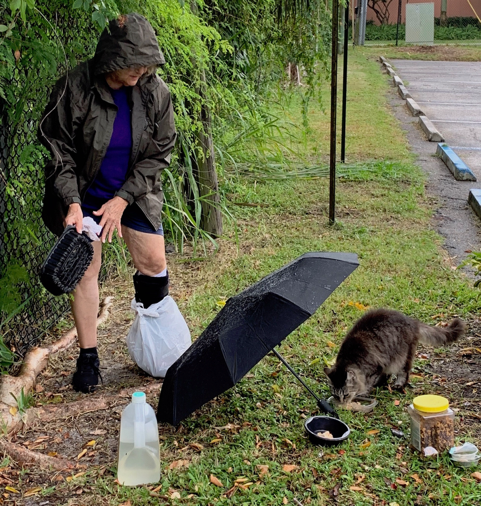 Vivian Darnell feeding community cats in the rain