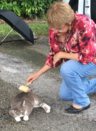 Vivian Darnell brushing a community cat.